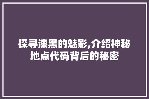 探寻漆黑的魅影,介绍神秘地点代码背后的秘密