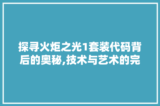 探寻火炬之光1套装代码背后的奥秘,技术与艺术的完美融合 PHP