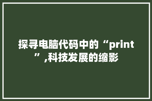 探寻电脑代码中的“print”,科技发展的缩影