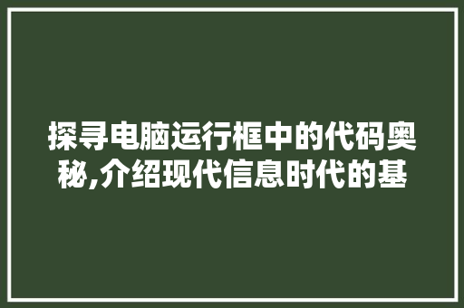 探寻电脑运行框中的代码奥秘,介绍现代信息时代的基石