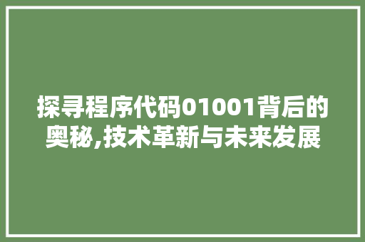 探寻程序代码01001背后的奥秘,技术革新与未来发展 Node.js