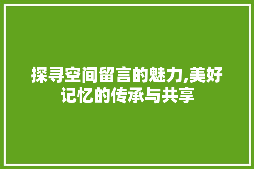 探寻空间留言的魅力,美好记忆的传承与共享