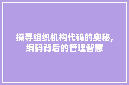 探寻组织机构代码的奥秘,编码背后的管理智慧