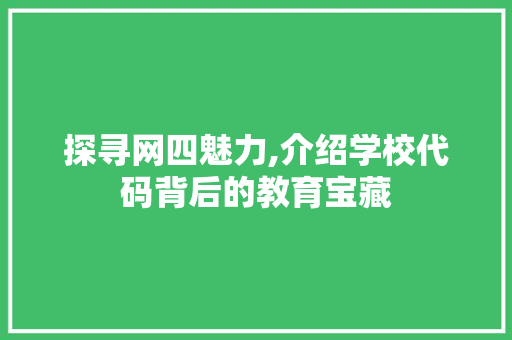 探寻网四魅力,介绍学校代码背后的教育宝藏