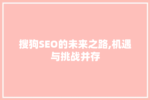 搜狗SEO的未来之路,机遇与挑战并存