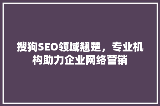 搜狗SEO领域翘楚，专业机构助力企业网络营销