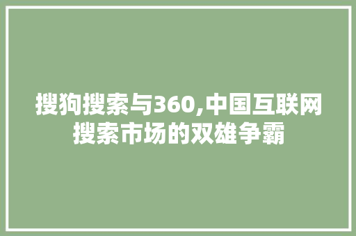 搜狗搜索与360,中国互联网搜索市场的双雄争霸