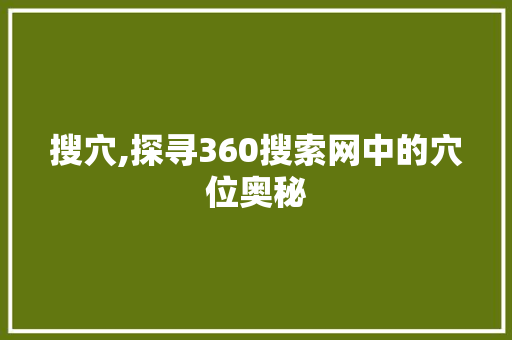 搜穴,探寻360搜索网中的穴位奥秘