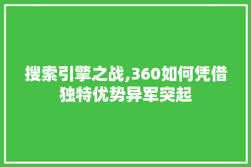 搜索引擎之战,360如何凭借独特优势异军突起