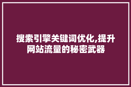 搜索引擎关键词优化,提升网站流量的秘密武器