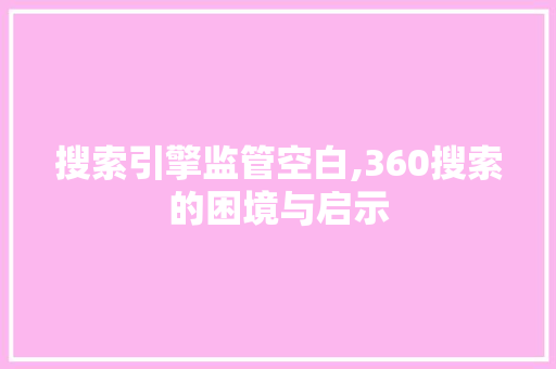 搜索引擎监管空白,360搜索的困境与启示