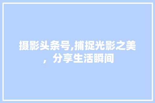 摄影头条号,捕捉光影之美，分享生活瞬间