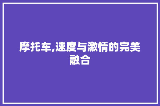 摩托车,速度与激情的完美融合