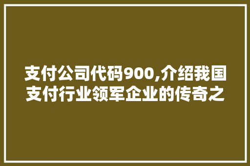 支付公司代码900,介绍我国支付行业领军企业的传奇之路