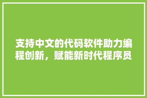 支持中文的代码软件助力编程创新，赋能新时代程序员