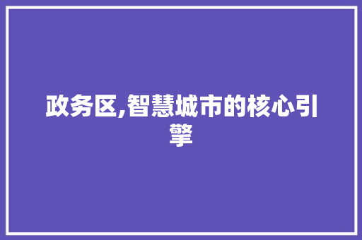 政务区,智慧城市的核心引擎