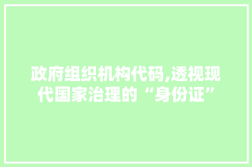 政府组织机构代码,透视现代国家治理的“身份证”