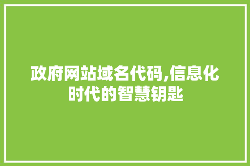 政府网站域名代码,信息化时代的智慧钥匙