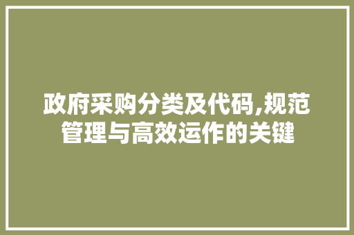 政府采购分类及代码,规范管理与高效运作的关键