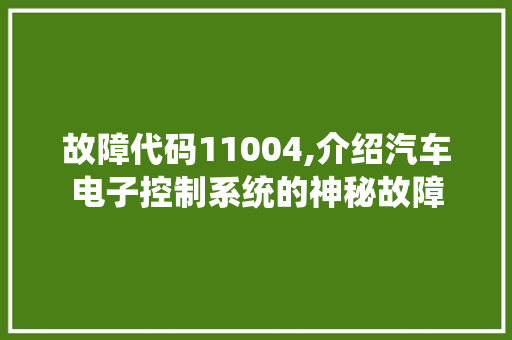 故障代码11004,介绍汽车电子控制系统的神秘故障