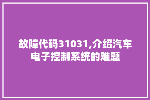 故障代码31031,介绍汽车电子控制系统的难题