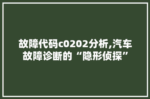 故障代码c0202分析,汽车故障诊断的“隐形侦探”