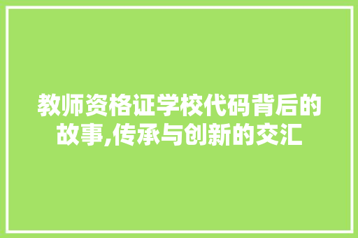 教师资格证学校代码背后的故事,传承与创新的交汇