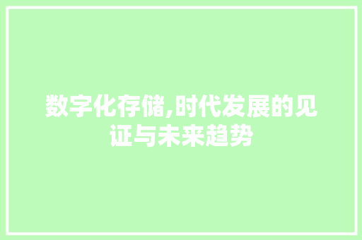 数字化存储,时代发展的见证与未来趋势