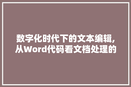 数字化时代下的文本编辑,从Word代码看文档处理的革命性变革