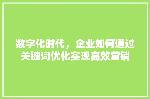 数字化时代，企业如何通过关键词优化实现高效营销