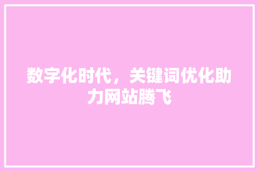 数字化时代，关键词优化助力网站腾飞