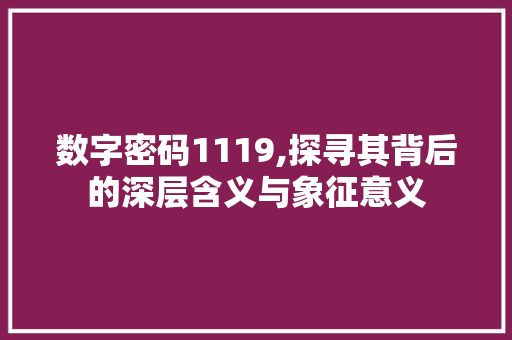 数字密码1119,探寻其背后的深层含义与象征意义