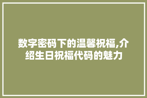 数字密码下的温馨祝福,介绍生日祝福代码的魅力