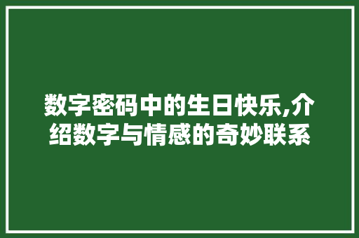 数字密码中的生日快乐,介绍数字与情感的奇妙联系