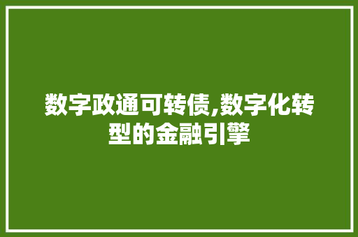 数字政通可转债,数字化转型的金融引擎