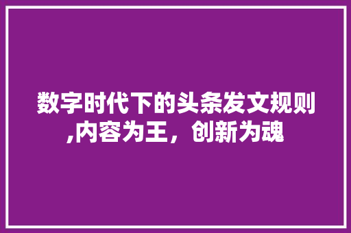 数字时代下的头条发文规则,内容为王，创新为魂