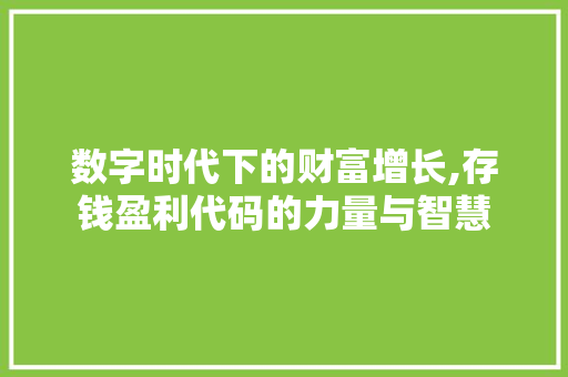 数字时代下的财富增长,存钱盈利代码的力量与智慧