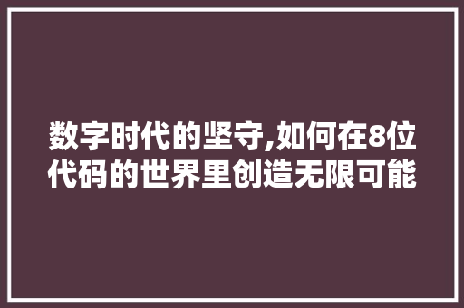 数字时代的坚守,如何在8位代码的世界里创造无限可能