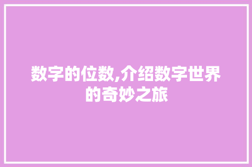 数字的位数,介绍数字世界的奇妙之旅