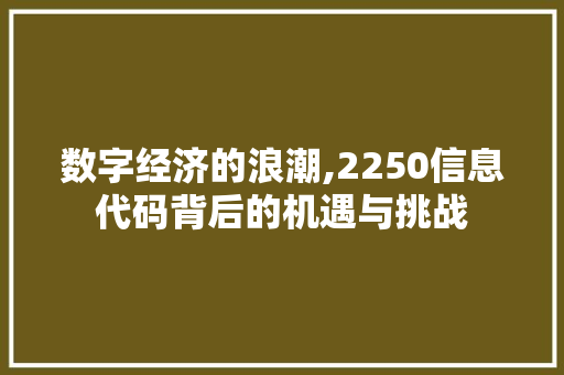 数字经济的浪潮,2250信息代码背后的机遇与挑战