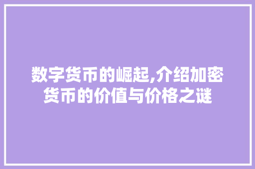 数字货币的崛起,介绍加密货币的价值与价格之谜