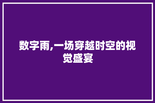 数字雨,一场穿越时空的视觉盛宴