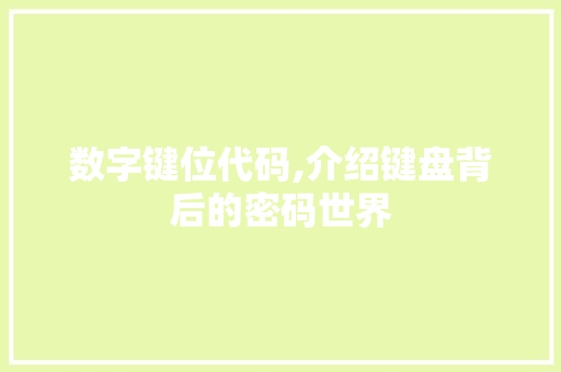 数字键位代码,介绍键盘背后的密码世界