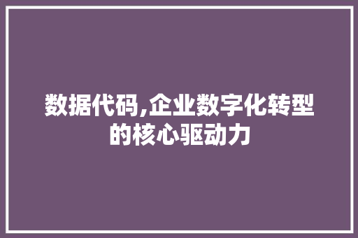 数据代码,企业数字化转型的核心驱动力