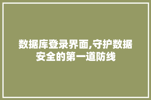 数据库登录界面,守护数据安全的第一道防线