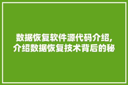 数据恢复软件源代码介绍,介绍数据恢复技术背后的秘密