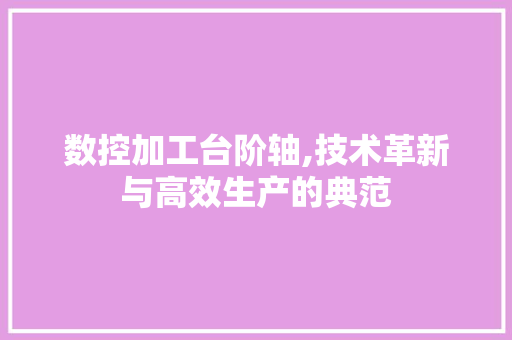 数控加工台阶轴,技术革新与高效生产的典范