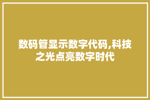 数码管显示数字代码,科技之光点亮数字时代