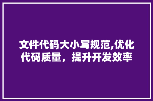 文件代码大小写规范,优化代码质量，提升开发效率