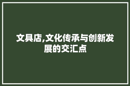 文具店,文化传承与创新发展的交汇点